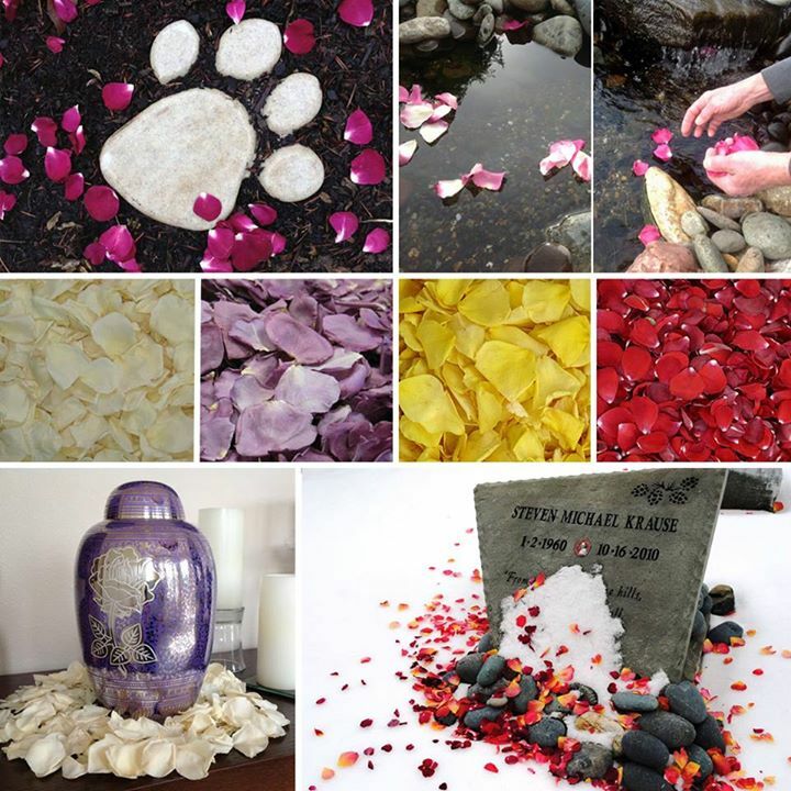 Memorial Petals. Choose Your Color or Blend